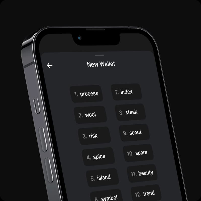 Connect Your Wallet